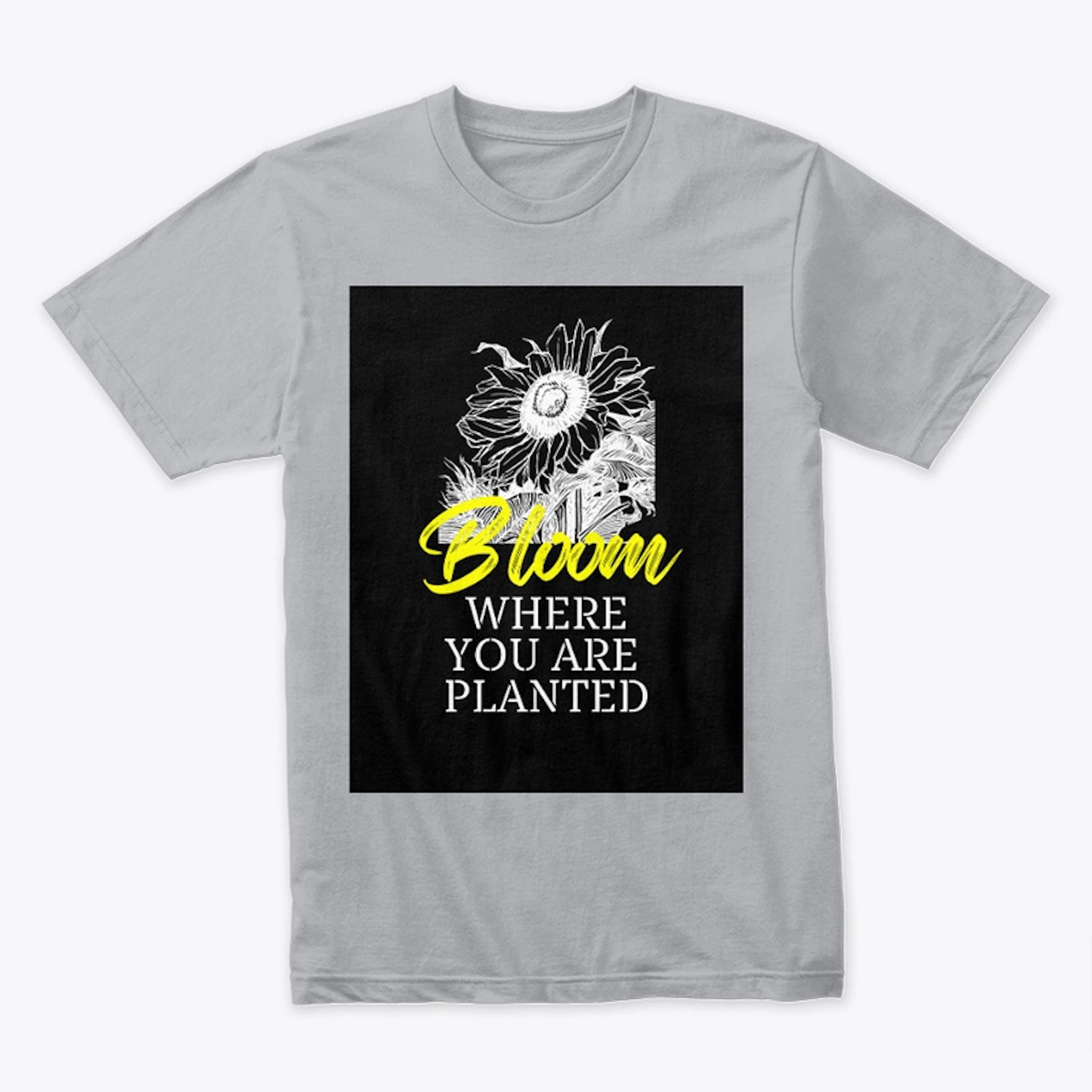 Bloom were not just planted
